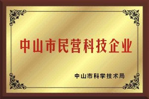 民营科技企业